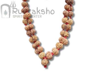 Gauri Shankar Rudraksha Mala